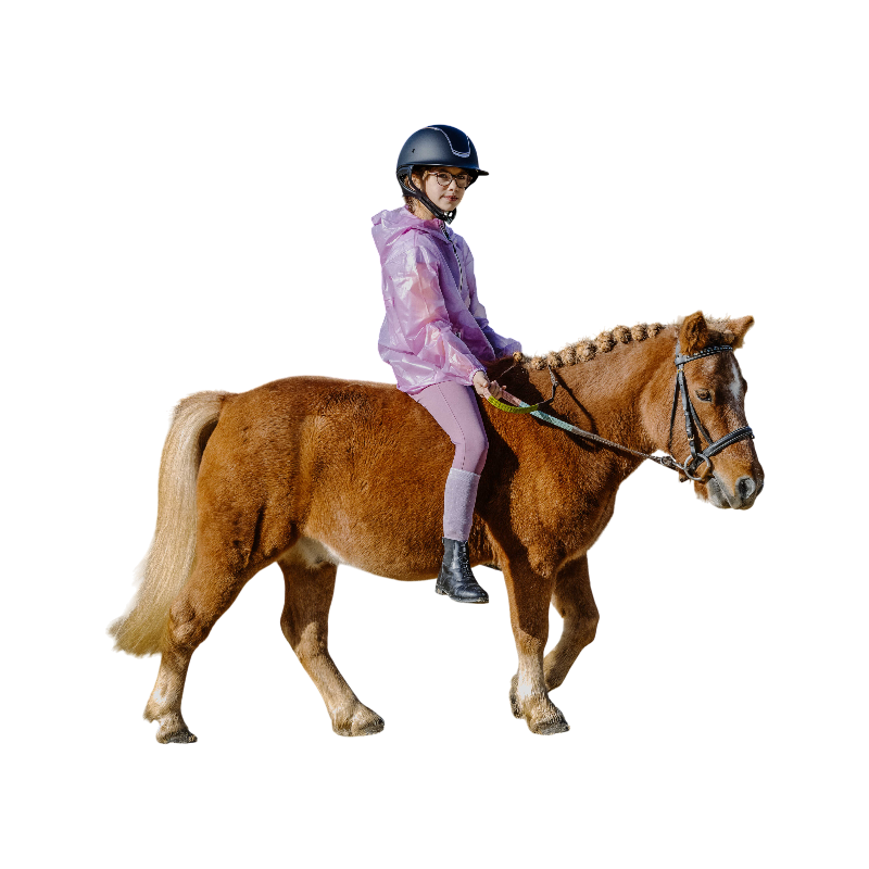 Equithème - Pantalon d'équitation junior Carly lilas