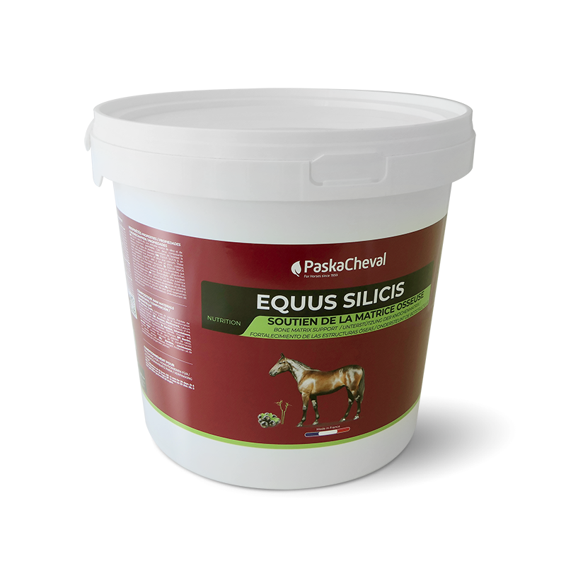 Paskacheval - Complément alimentaire articulaire Equus silicis