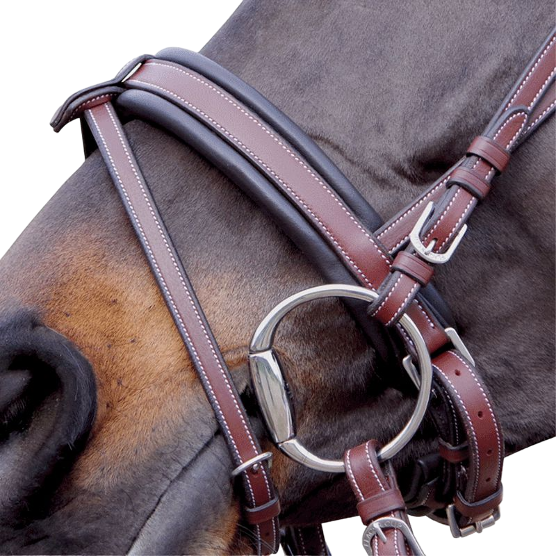 Flags &amp; Cup - Brown Madrid Bridle