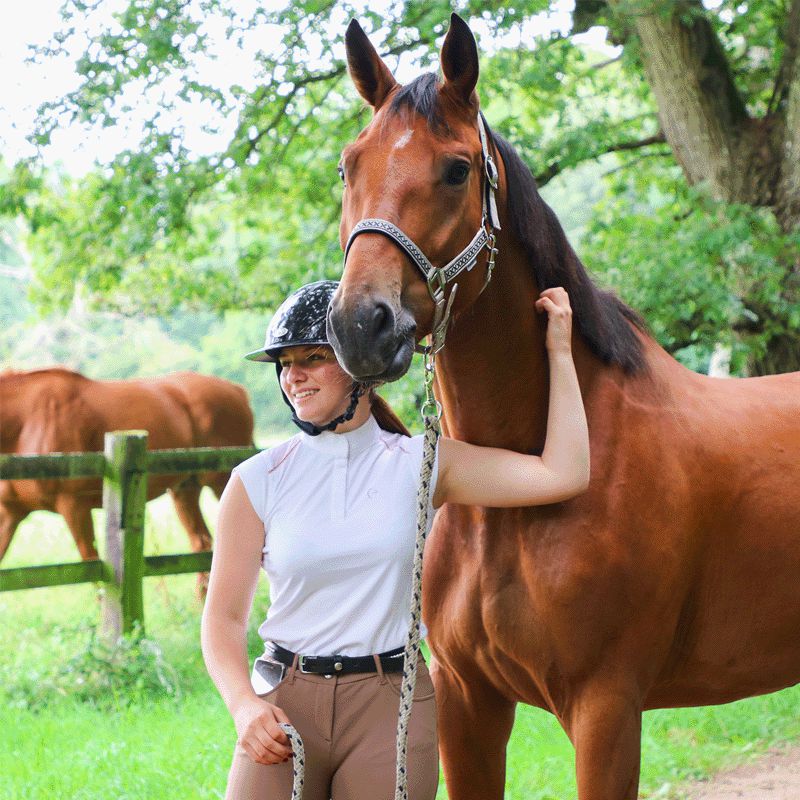 Equithème - Polo manches courtes concours Brussels blanc | - Ohlala