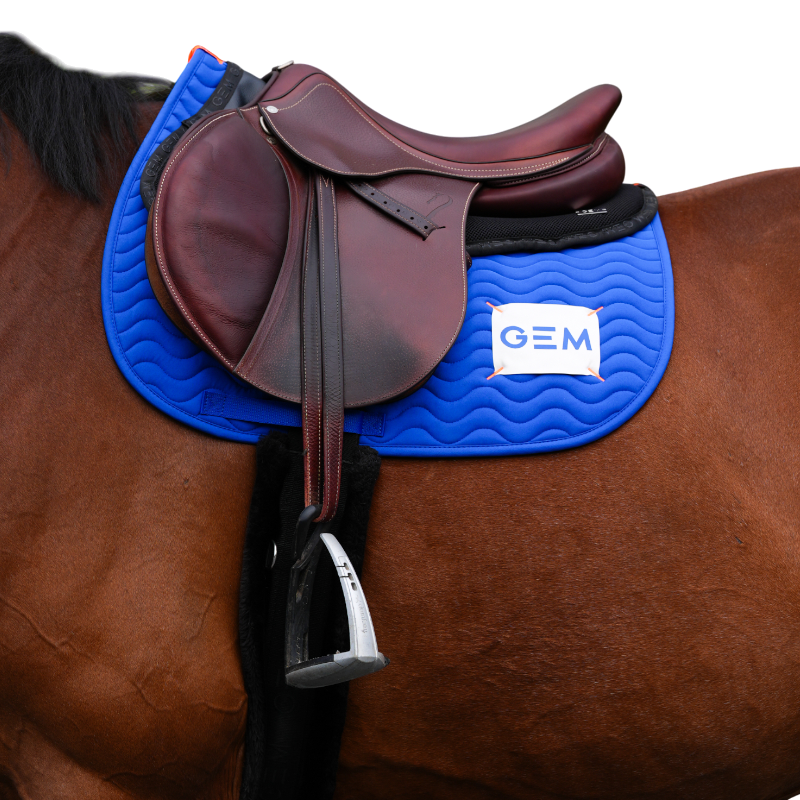 GEM - Tapis de selle Touc Touc bleu roi