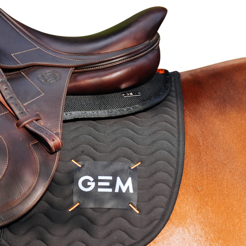 GEM - Tapis de selle Touc Touc noir