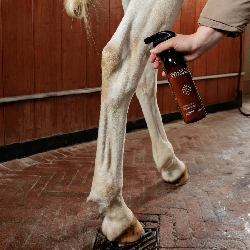 Grooming Deluxe - Amandel geurige spoelvrije ontvetter 