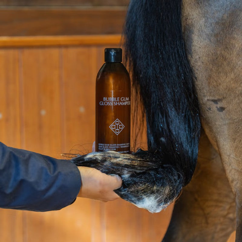 Grooming Deluxe - Shampoing Gloss bubble gum