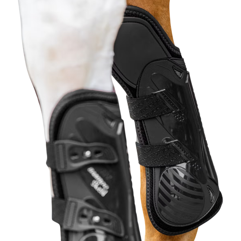 Kentucky Horsewear - Guêtres Elastic protection genoux noir