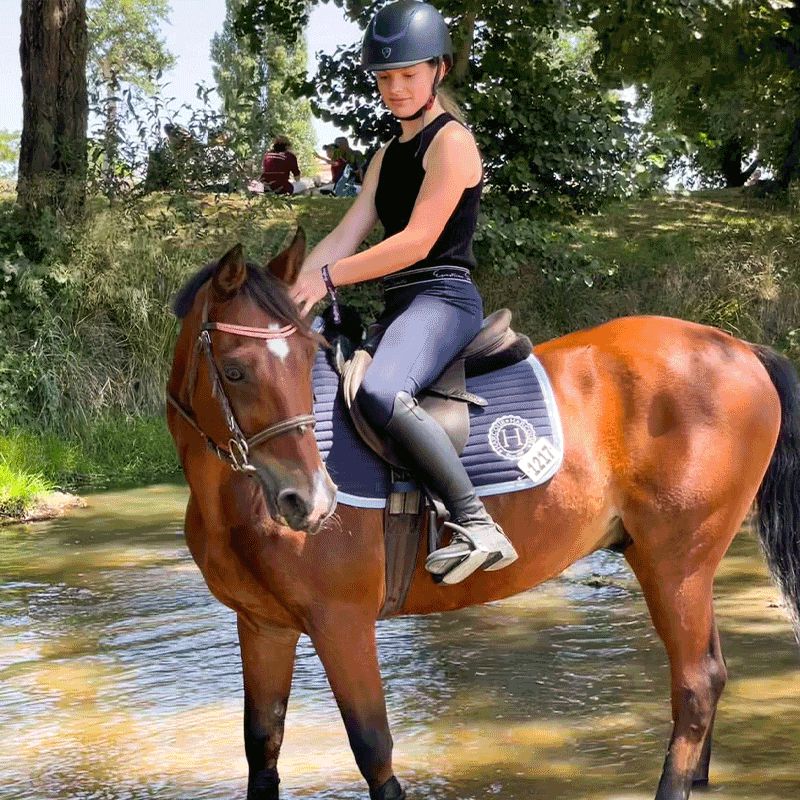 Harcour - Tapis de dressage Karembar marine | - Ohlala