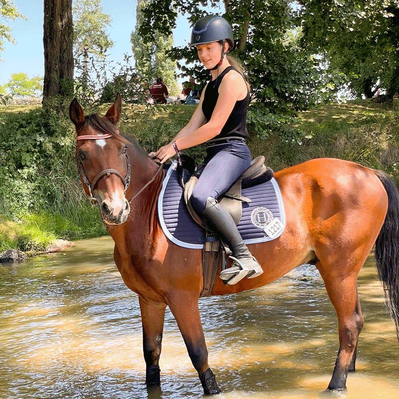 Harcour - Tapis de selle Karembar marine | - Ohlala