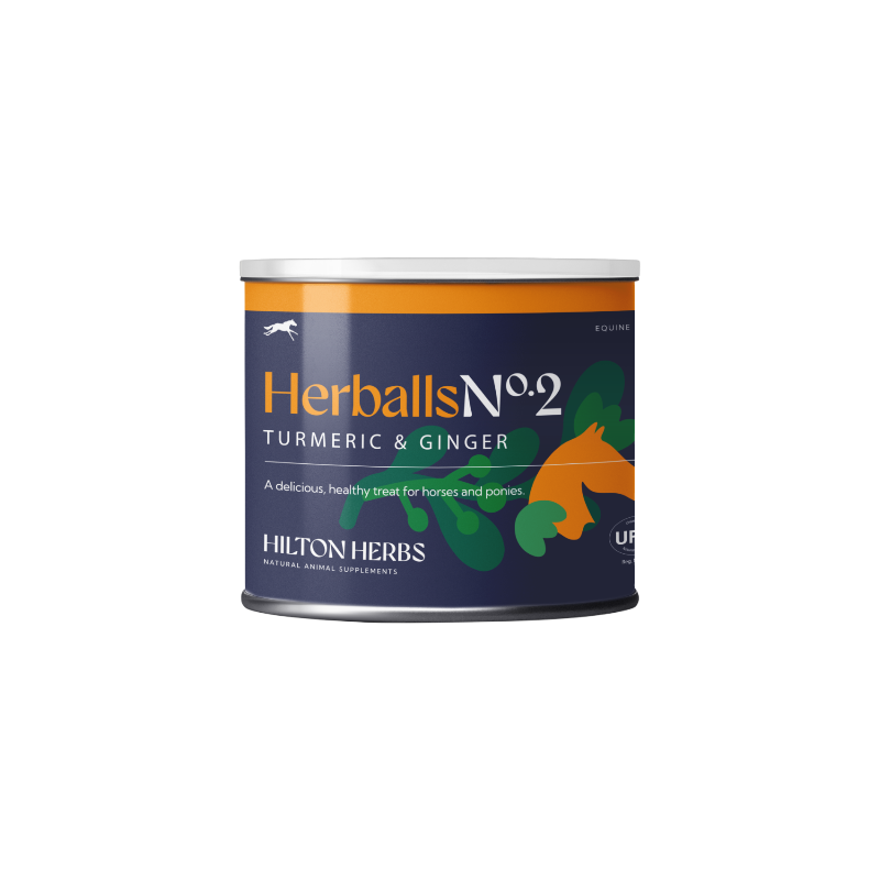 Hilton Herbs - Natuurlijke paardenlekkernijen Herballs N°2 kurkuma/ gember 