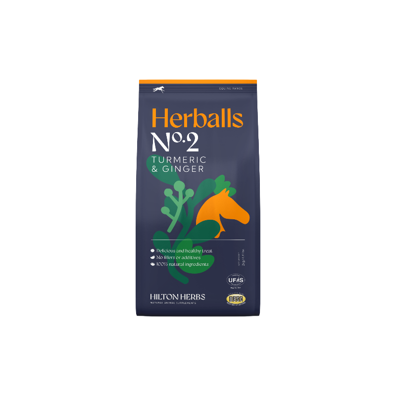 Hilton Herbs - Natuurlijke paardenlekkernijen Herballs N°2 kurkuma/ gember 