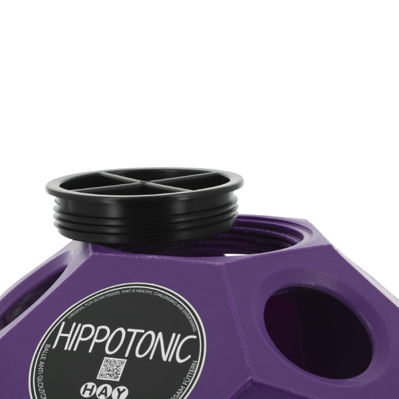 Hippotonic - Balle de jeu/ foin pour chevaux anti-gluton violet