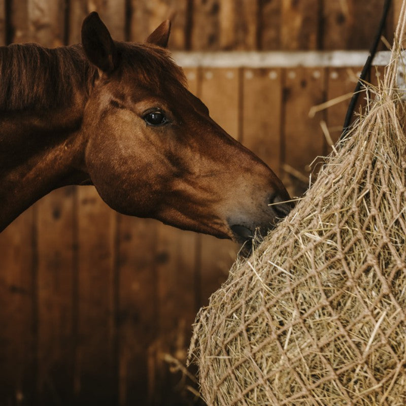 Hippotonic - Natural beige hay net 