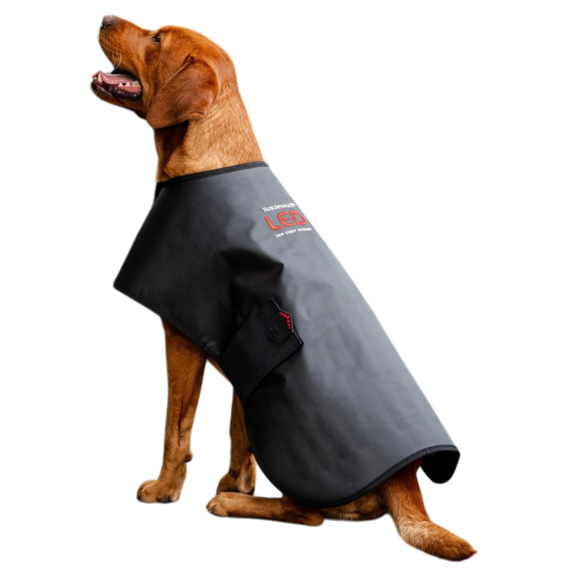 Horseware - Couverture pour chien thérapeutique lumière rouge LED | - Ohlala