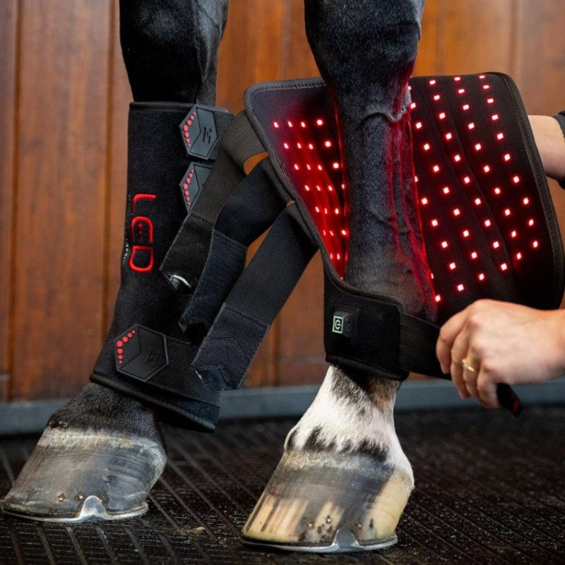 Horseware - Guêtres thérapeutiques lumière rouge LED (x1) | - Ohlala