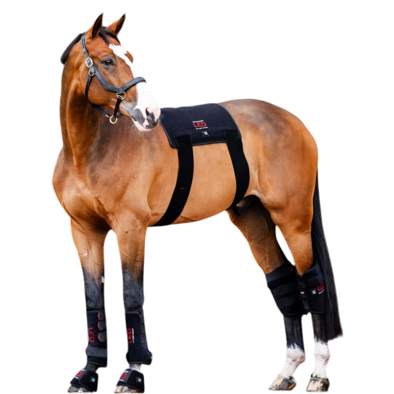 Horseware - Guêtres thérapeutiques lumière rouge LED (x1) | - Ohlala