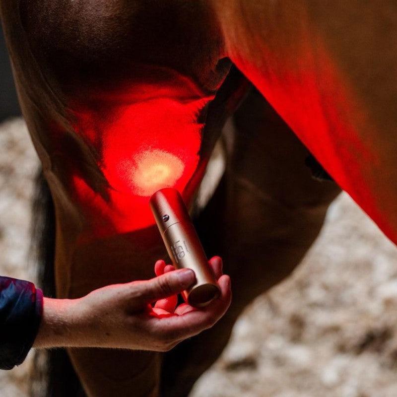 Horseware - Lampe thérapie lumière rouge LED | - Ohlala