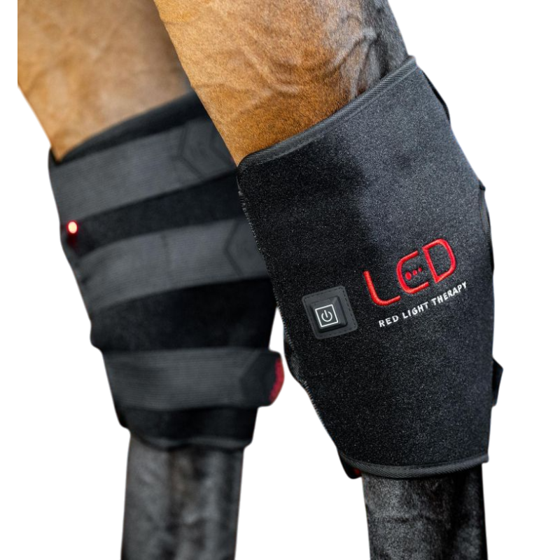 Horseware - Protège-jarret thérapeutique lumière rouge LED (x1) | - Ohlala