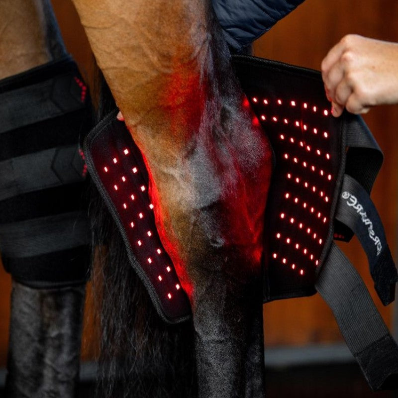 Horseware - Protège-jarret thérapeutique lumière rouge LED (x1) | - Ohlala