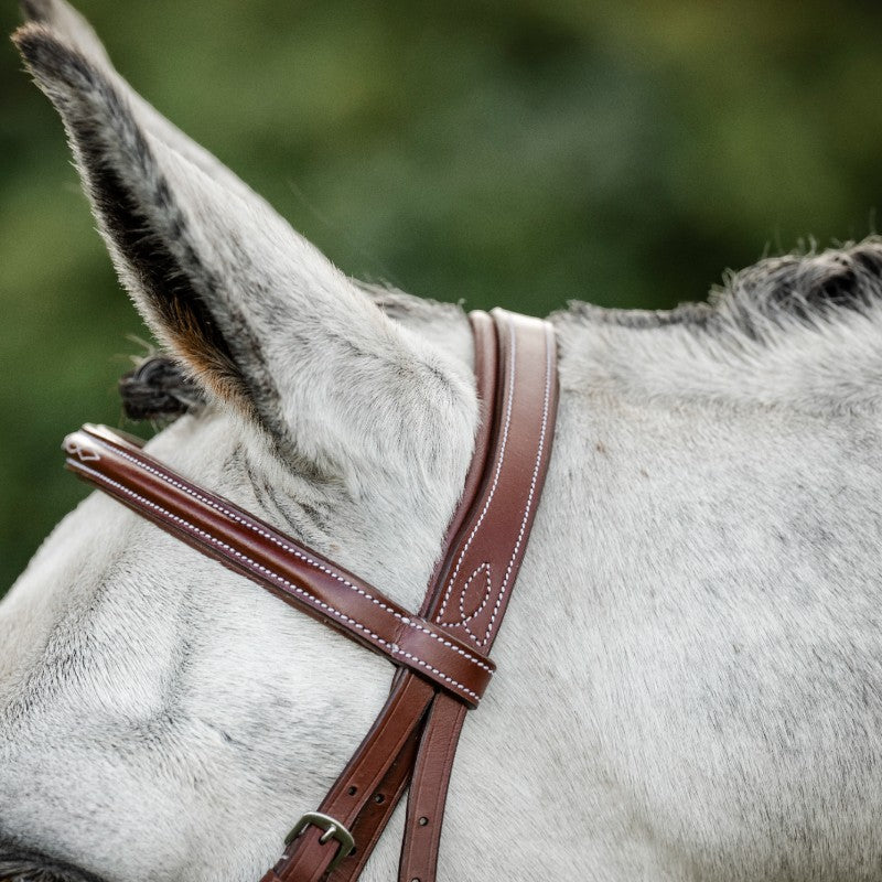 Horseware - Bridon Cavesson Hunter avec rênes dark tan