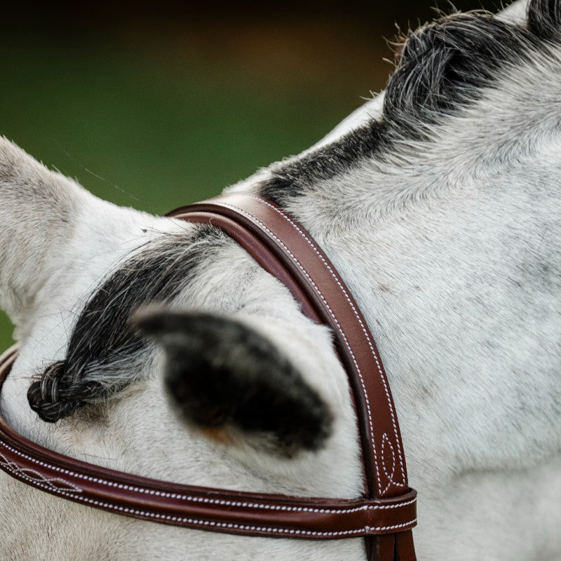 Horseware - Bridon Cavesson Hunter avec rênes dark tan
