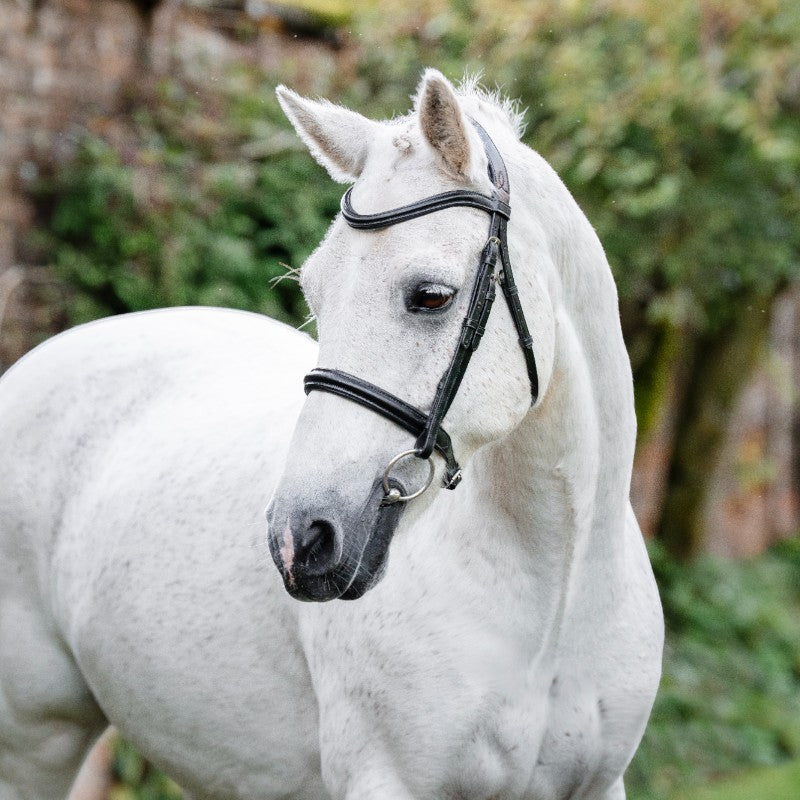Horseware - Zwart ponycavesson 