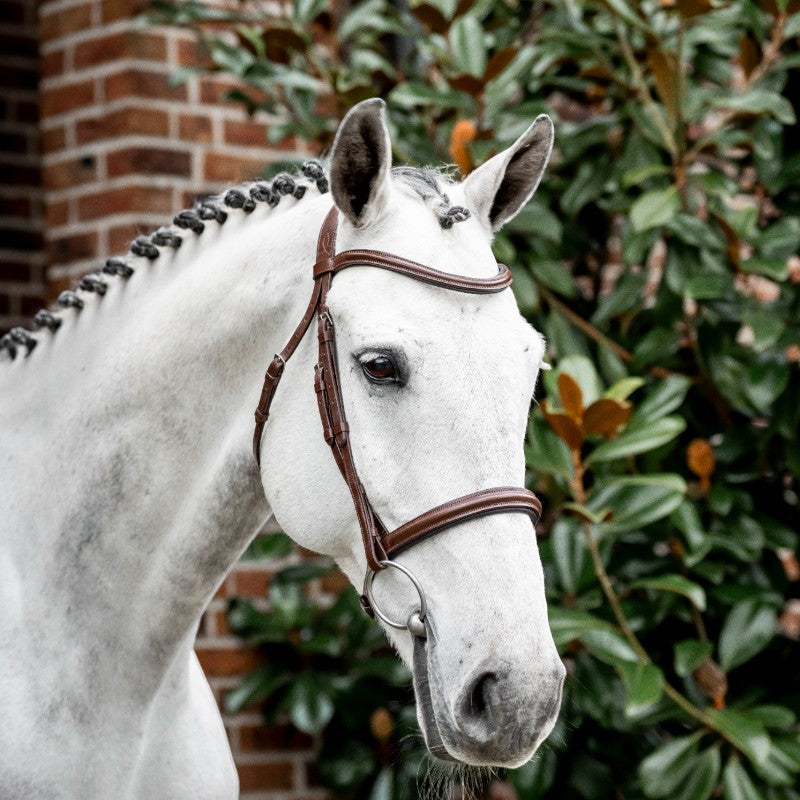 Horseware - Bruine Cavesson teugel 