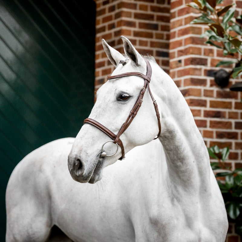 Horseware - Bruine Cavesson teugel 