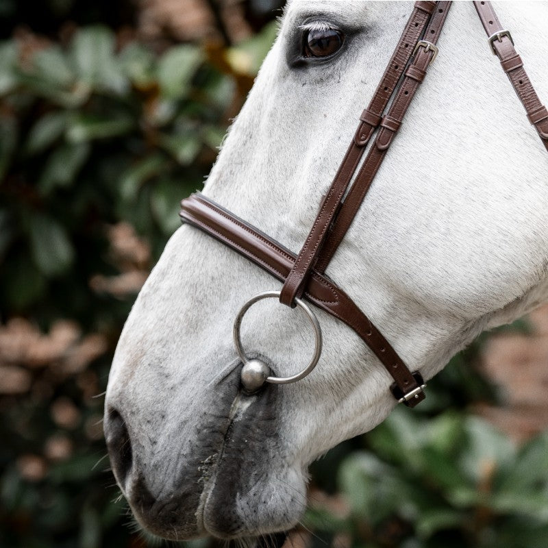 Horseware - Bruine Cavesson teugel 