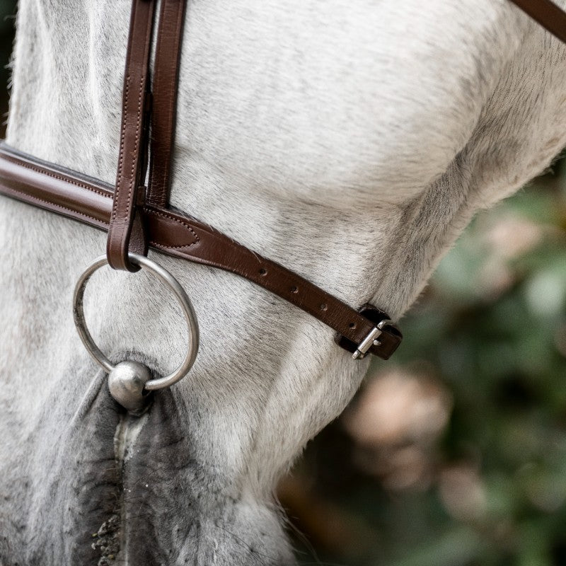 Horseware - Bruine Cavesson teugel 