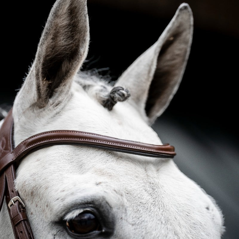 Horseware - Bruine Cavesson teugel 