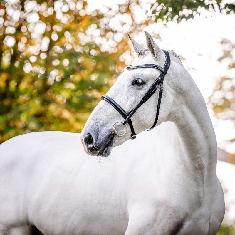 Horseware - Zwarte Cavesson teugel 