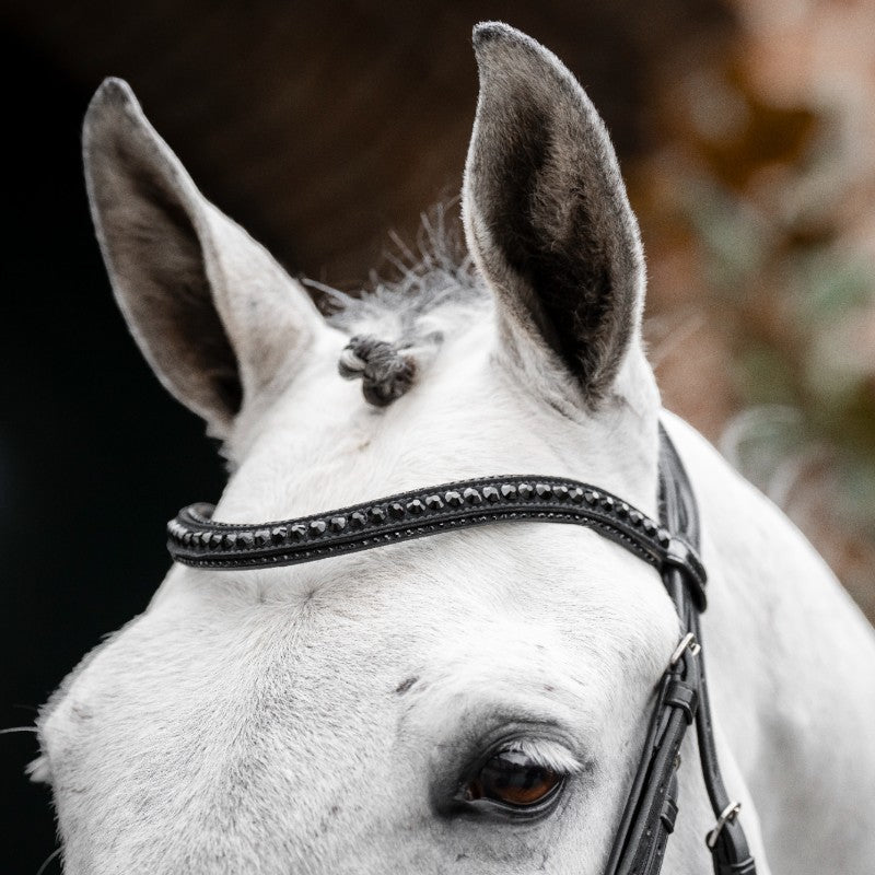 Horseware - Bridon Diamante Flash noir/ noir