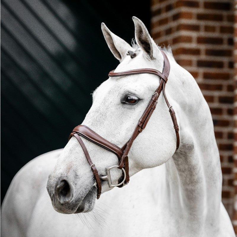 Horseware - Bridon Dressage Flash bruin 