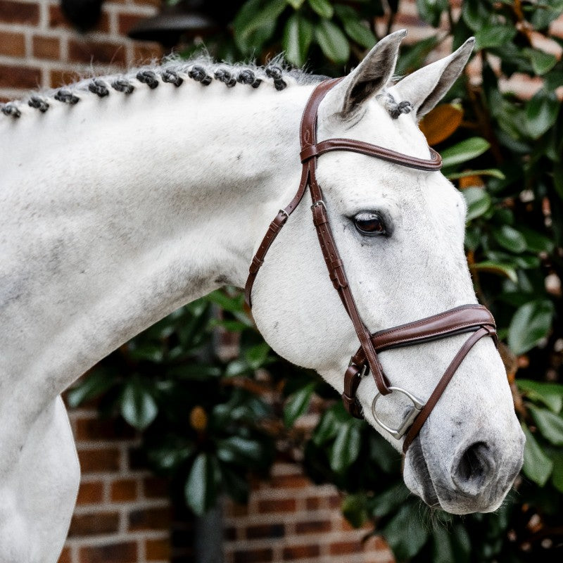 Horseware - Bridon Dressage Flash bruin 