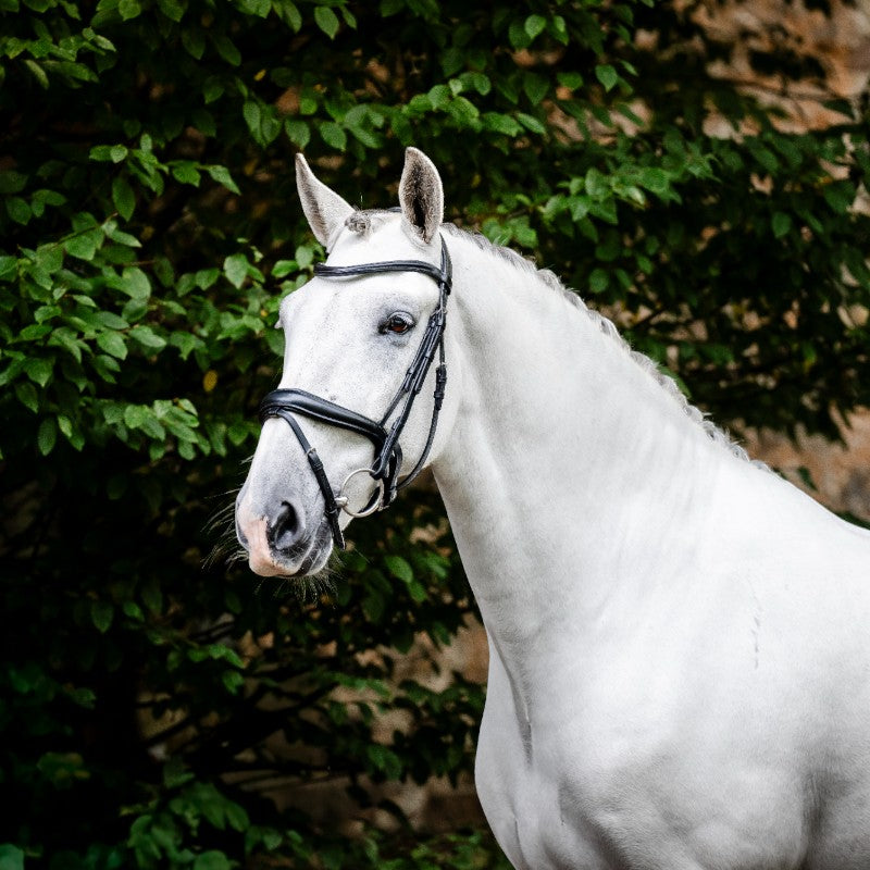 Horseware - Dressuurhoofdstel Flash zwart 