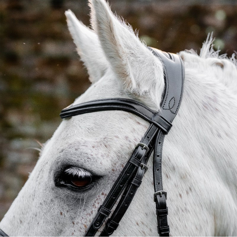 Horseware - Bridon Dressage Pony Flash noir