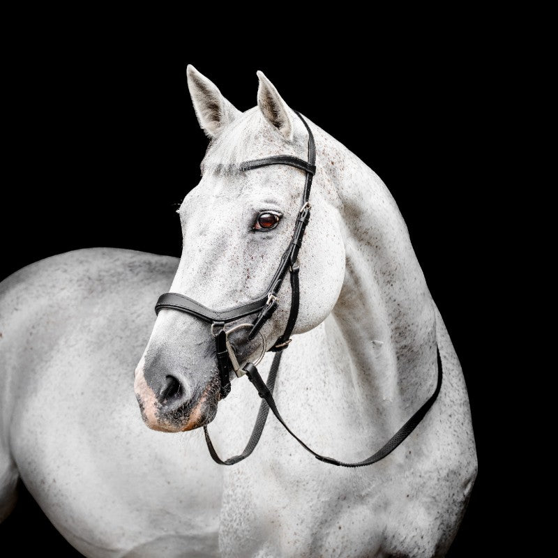 Horseware - Bridon Micklem Competiton noir