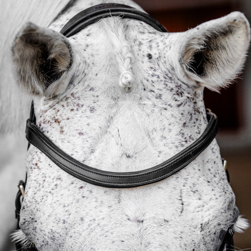 Horseware - Bridon Micklem Competiton noir