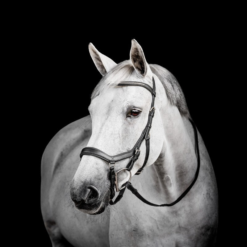 Horseware - Bridon Micklem Diamante Competitie zwart 