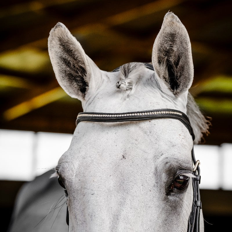 Horseware - Micklem Diamante Wettbewerbszaum schwarz 