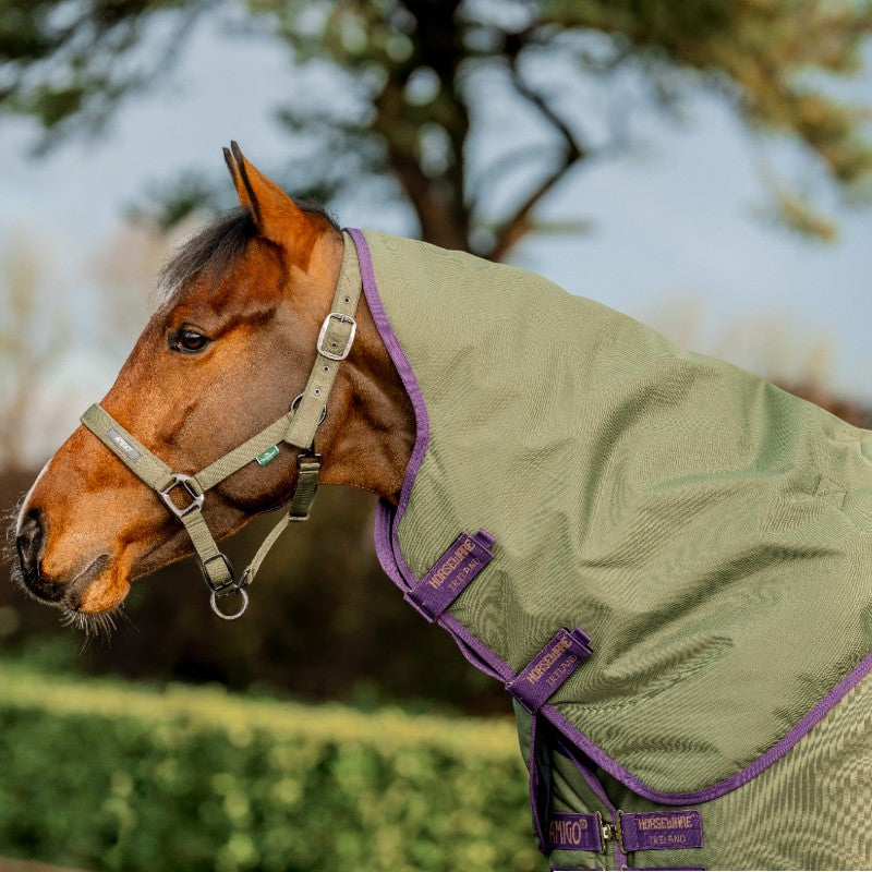 Horseware - Couverture d'extérieur Amigo Hero Ripstop Plus bramble/ winterberry 200g