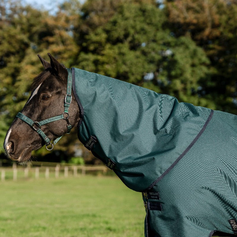 Horseware - Couverture d'extérieur Amigo Ripstop Plus Pony Turnout dynasty green/ marine/ argent 100g | - Ohlala