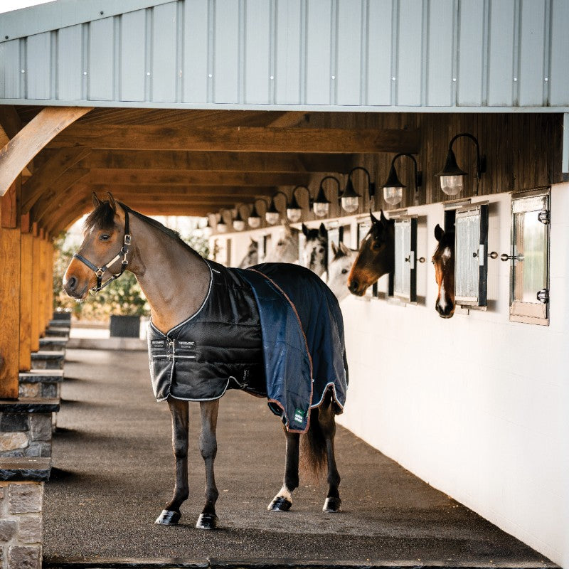 Horseware - Couverture de box Easy-Layer Stable noir et silver 200g