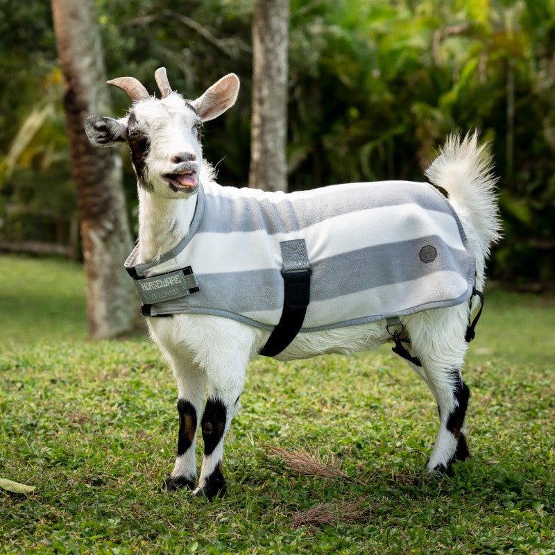 Horseware - Couverture polaire pour chèvre Newmarket witney charcoal