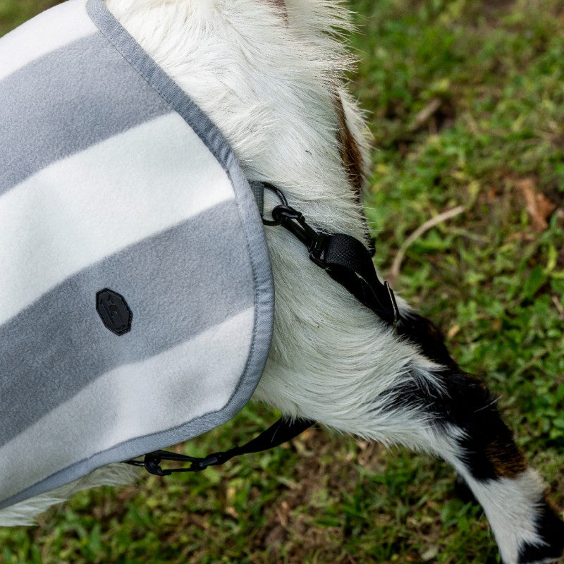 Horseware - Couverture polaire pour chèvre Newmarket witney charcoal