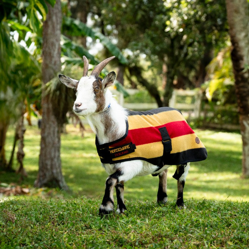 Horseware - Polar cover voor geit Newmarket witney gold 