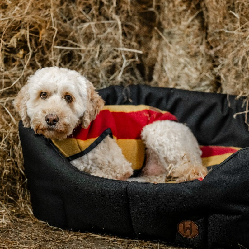 Horseware - Newmarket Witney Gold dog fleece blanket 
