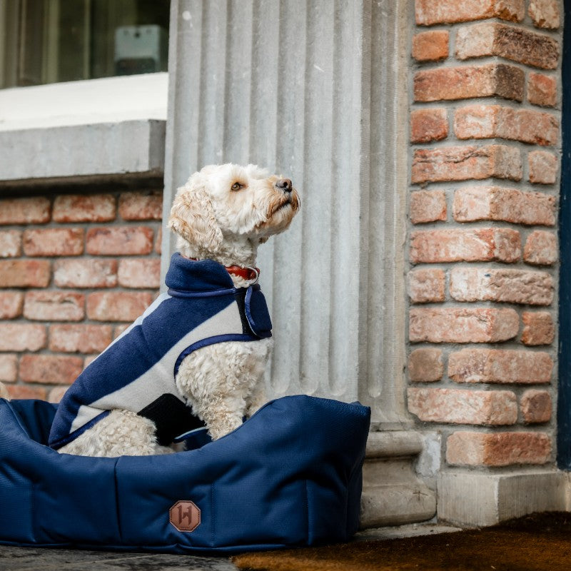 Horseware - Couverture polaire pour chien Newmarket witney navy | - Ohlala