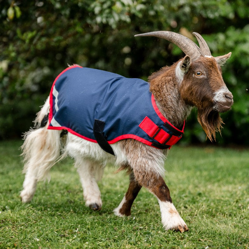 Horseware - Cover for marine goat / red 200g 