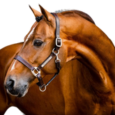Horseware - Licol en cuir Signature marron | - Ohlala
