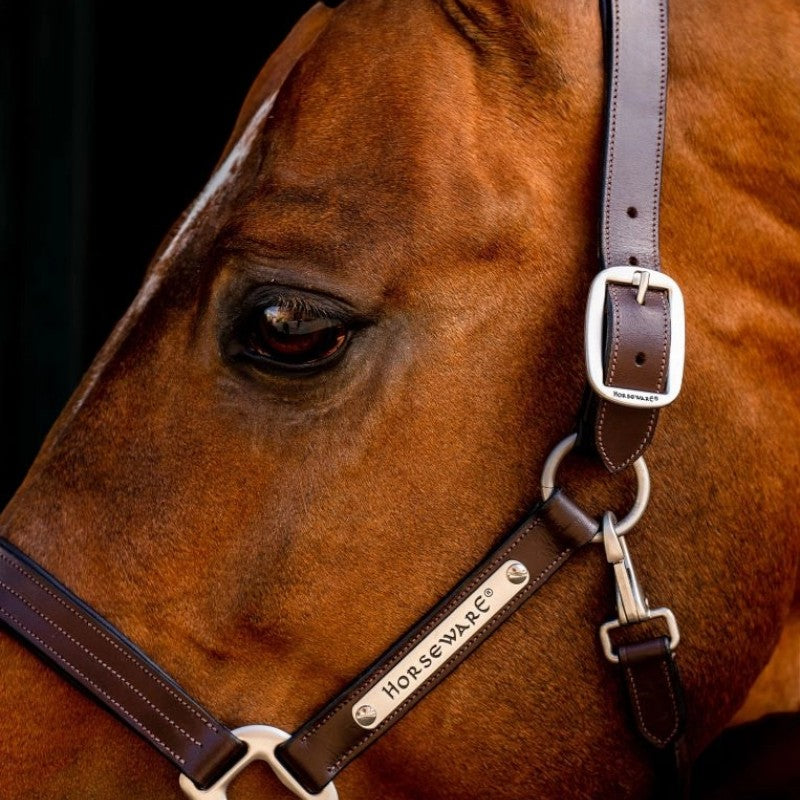 Horseware - Licol en cuir Signature marron | - Ohlala